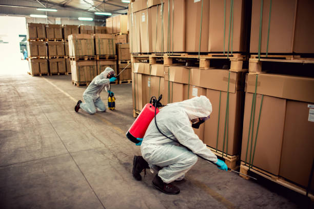 Best Local Pest Control Services  in Anton, TX