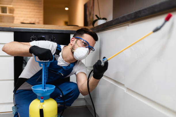 Best Insect Control  in Anton, TX