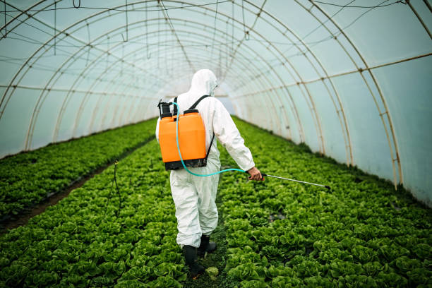 Best Pest Removal Services  in Anton, TX