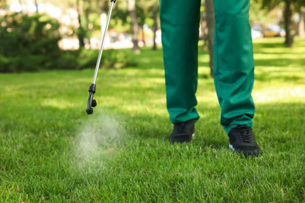 Best Pest Prevention Services  in Anton, TX