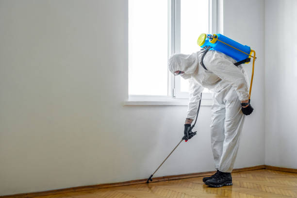 Pest Prevention Services in Anton, TX