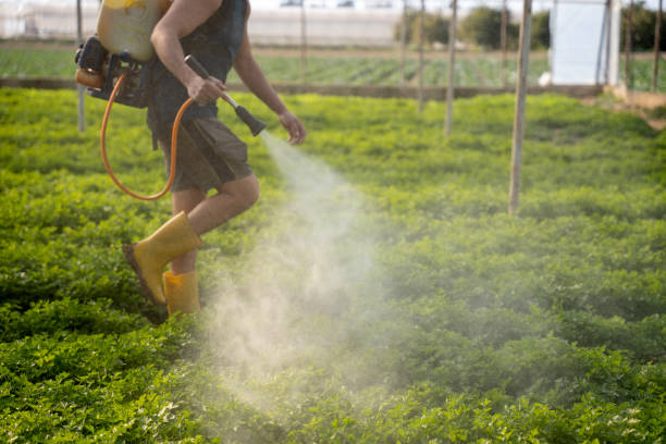 Best Residential Pest Control  in Anton, TX