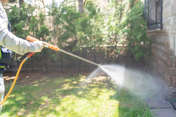 Best Spider Control Near Me  in Anton, TX
