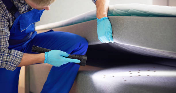Best Affordable Pest Control Services  in Anton, TX