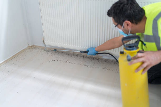 Best Affordable Pest Control Services  in Anton, TX