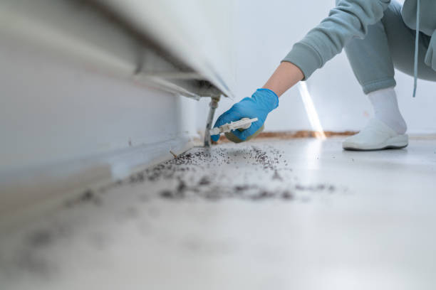 Anton, TX Pest Control Company