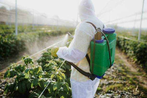 Pest Control for Restaurants in Anton, TX